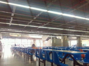 學(xué)校食堂窗口技術(shù)轉(zhuǎn)讓 機(jī)遇、流程與注意事項(xiàng)