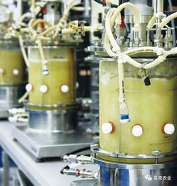 慕恩生物菌肥產品全國空白市場特許經銷商火熱招募中